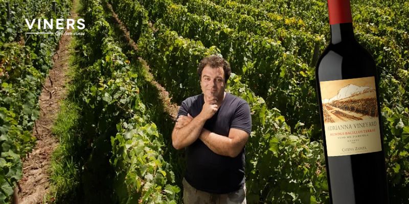 100 puntos para un vino argentino en La Place de Burdeos