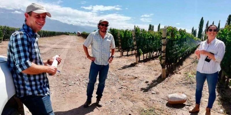 Cómo se vive una nueva vendimia en pandemia, según 15 referentes del sector