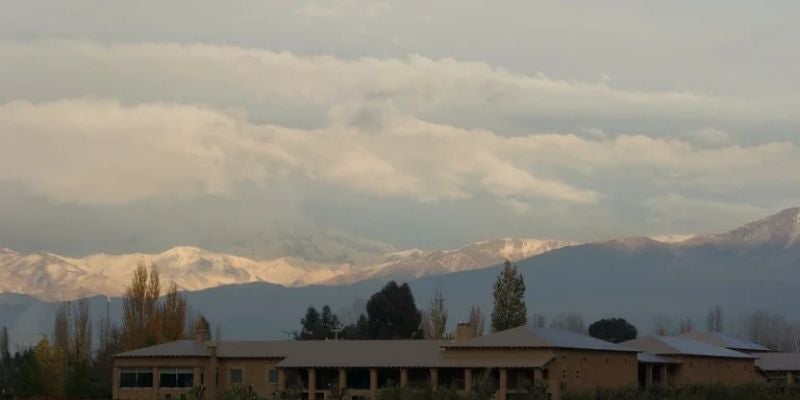 El renacer de la Denominación de Origen: por qué garantiza vinos de prestigio y calidad