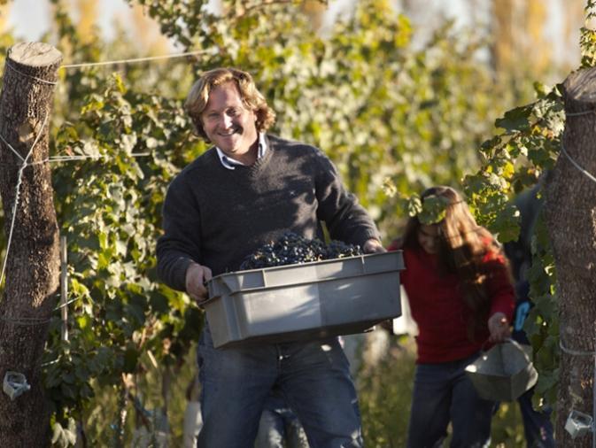 Enólogos Reconocidos - Alejandro "Colo" Sejanovich