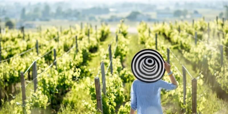 Historias de grandes mujeres por detrás de grandes vinos