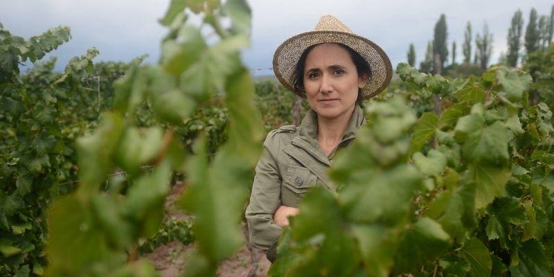 Llegaron los vinos de Laura Catena
