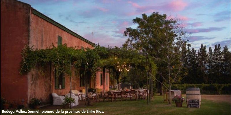 Nueva indicación geográfica para vinos de una provincia en donde estaba prohibido vinificar hasta 1993