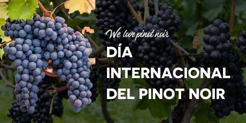 We Love Pinot Noir - El Príncipe de los Tintos