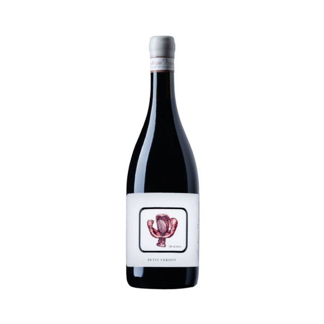 Macollo Santiago Vignoni Petit Verdot 2022