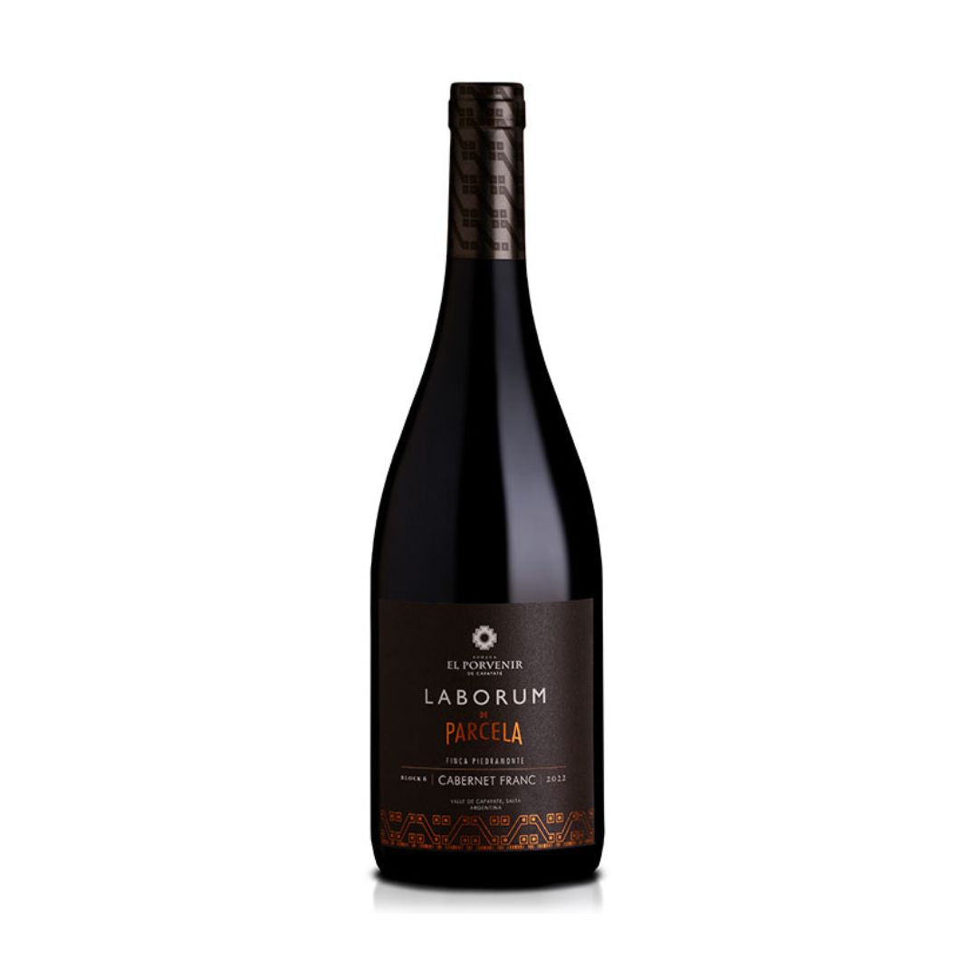 Laborum de Parcela Cabernet Franc Finca Piedramonte 2022