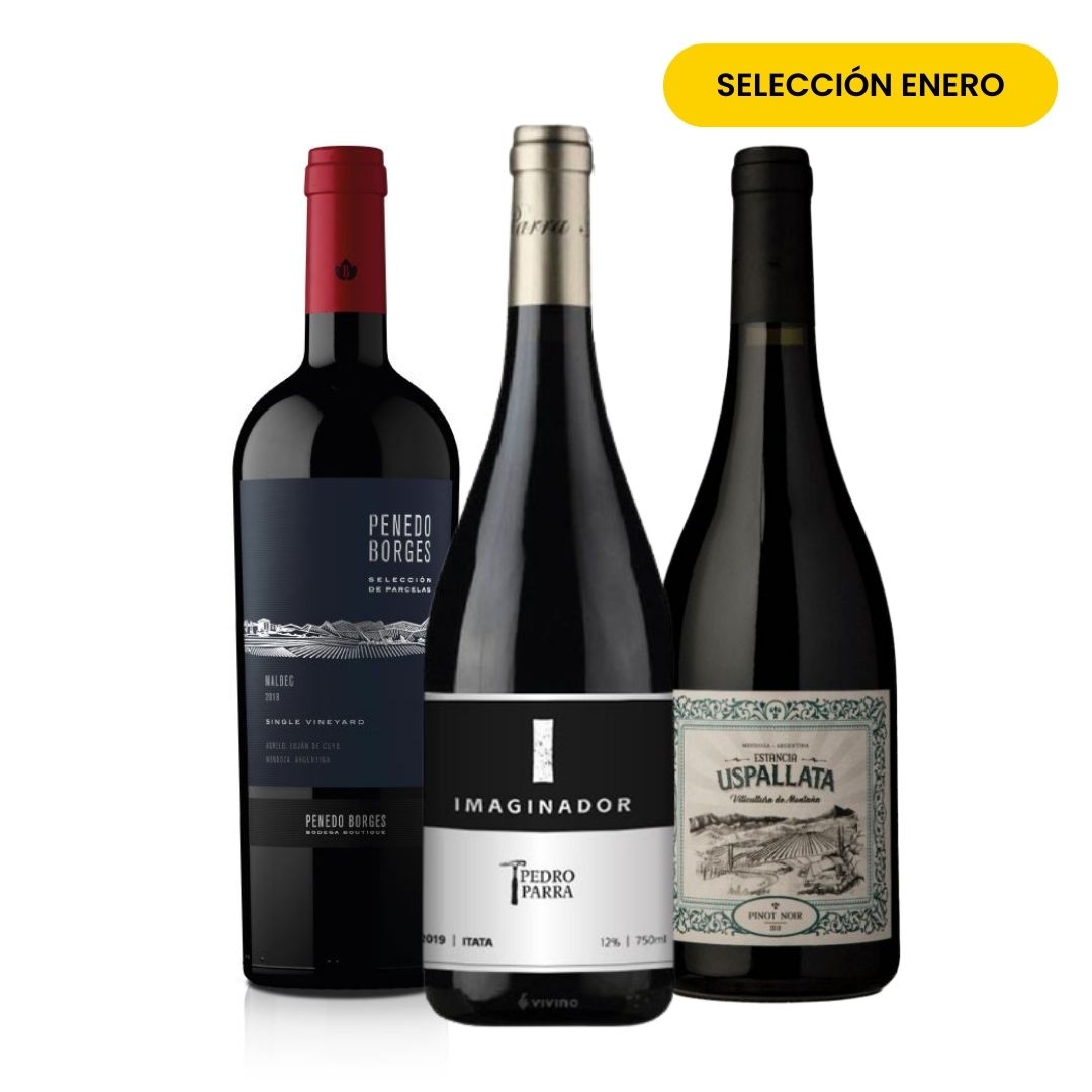 Club Viners Grand Selection