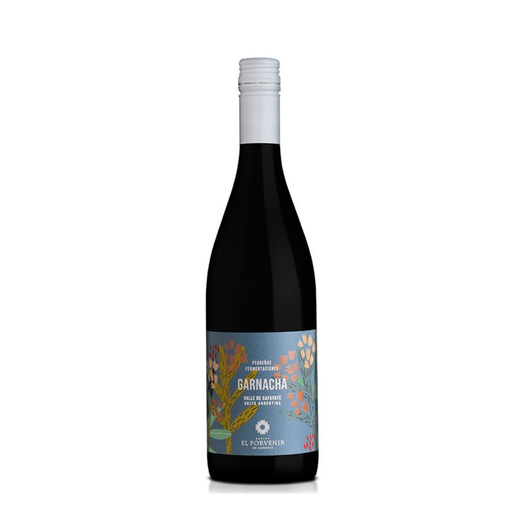 Pequeñas Fermentaciones Garnacha 2024