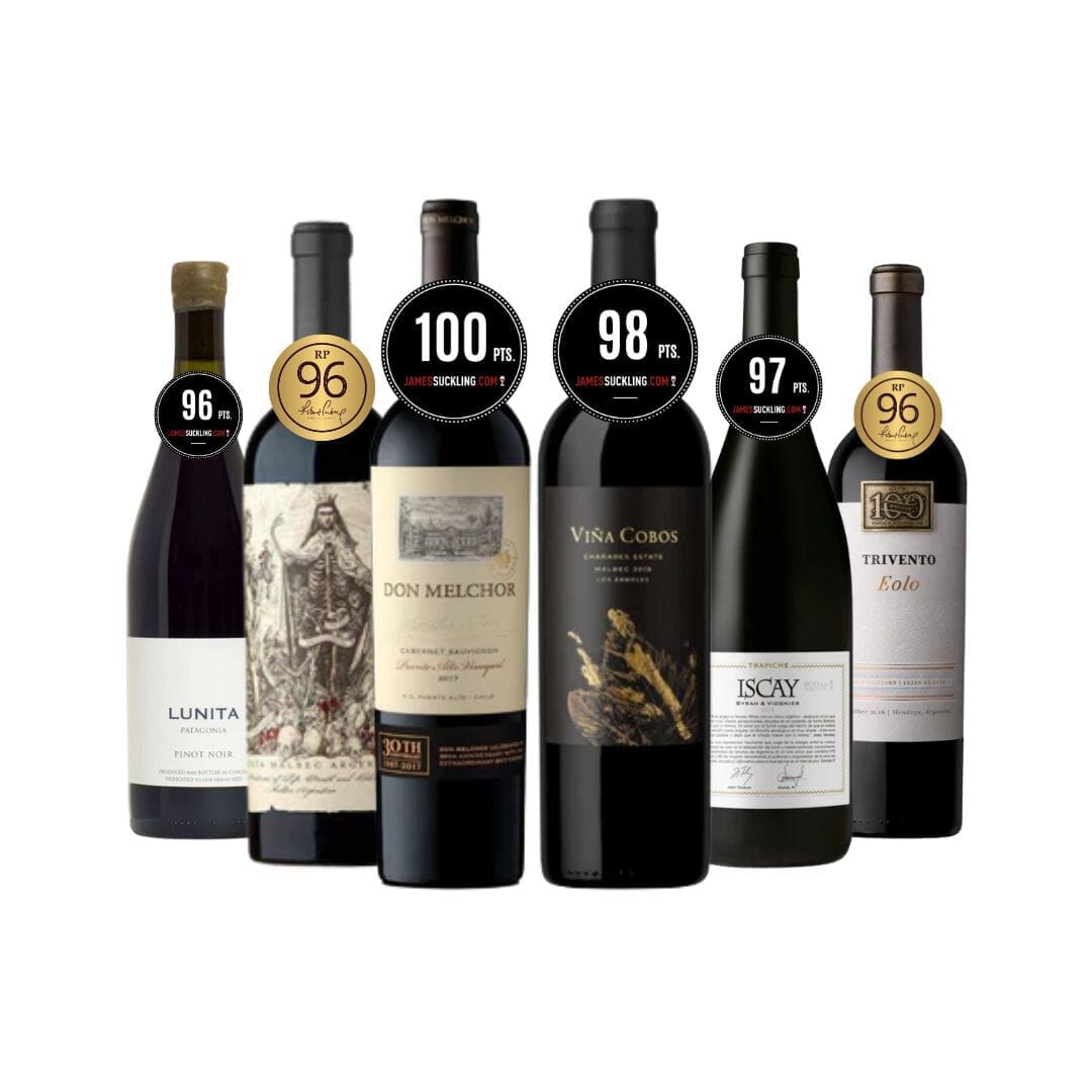 Combo Tintos Super Premium Vino Viners