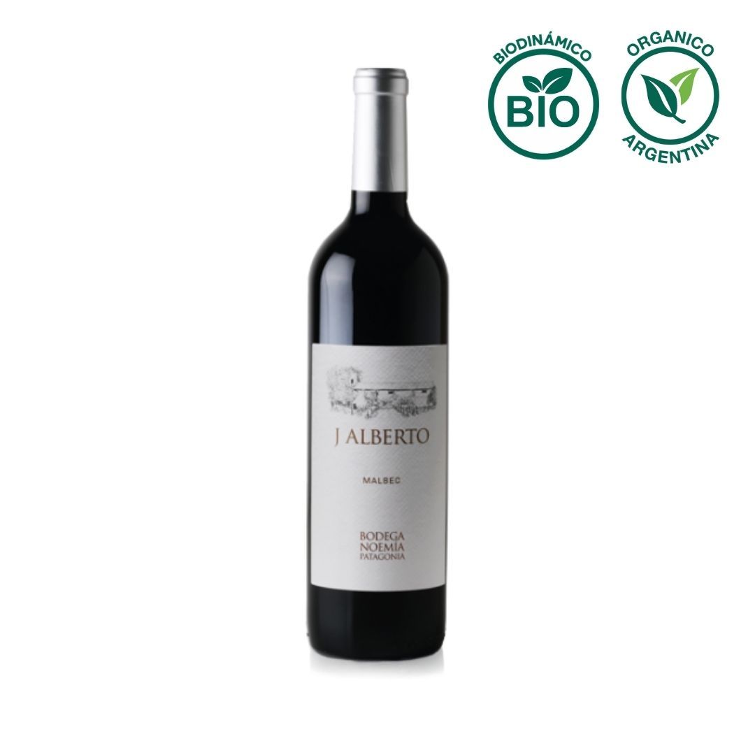 J. Alberto Malbec 2020 Vino Bodega Noemía