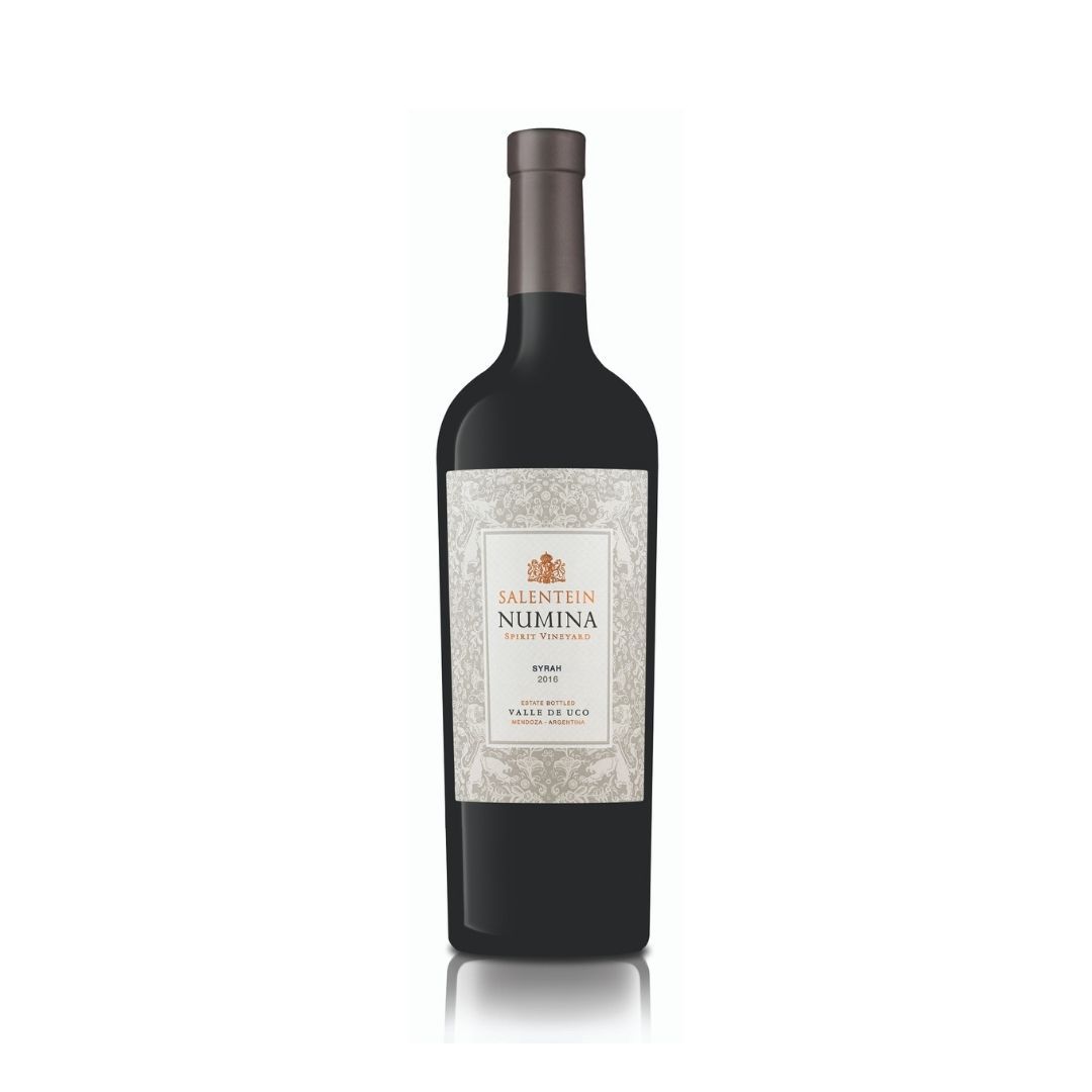 Salentein Numina Syrah 2016 Vino Salentein
