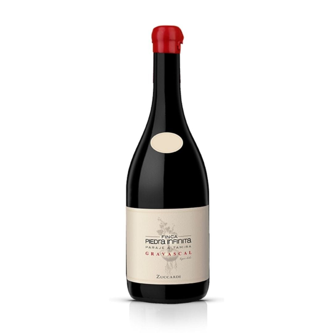 Zuccardi Finca Piedra Infinita Gravascal 2019 Vino Zuccardi Valle de Uco