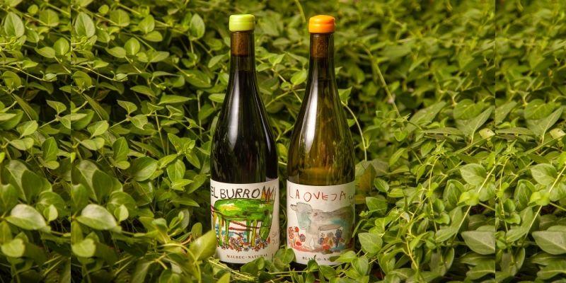 Bodega Santa Julia presenta la nueva cosecha de sus vinos naturales