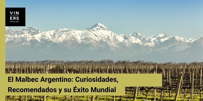 El Malbec Argentino: Curiosidades, Recomendados y su Éxito Mundial