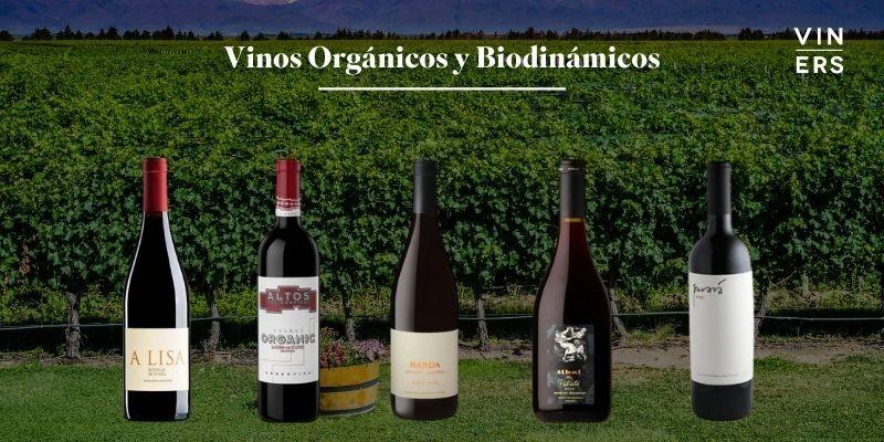 Hablemos de Vinos Orgánicos y Biodinámicos