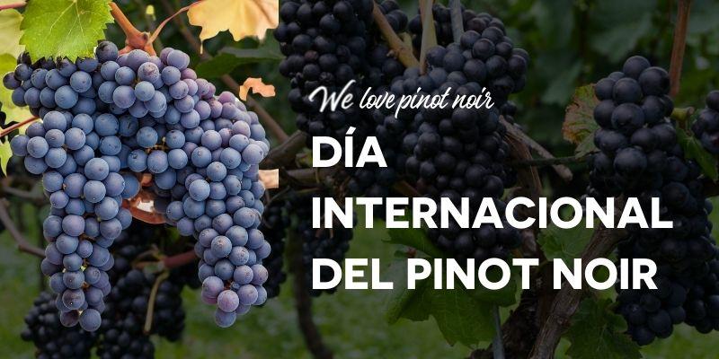 We Love Pinot Noir -  El Príncipe de los Tintos