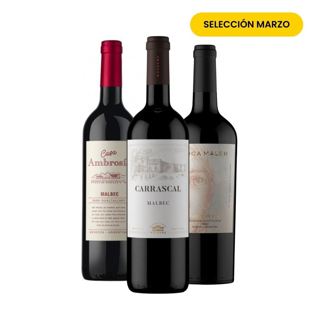 Club Viners Exploradores