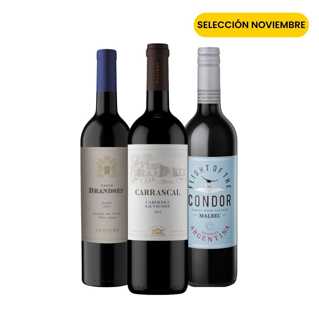 Club Viners Exploradores