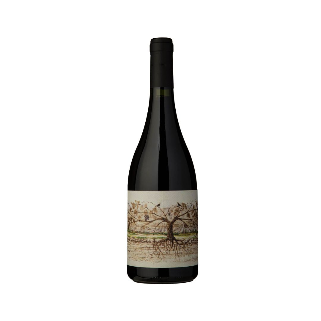 Almacén de la Quebrada Cachi Malbec 2020