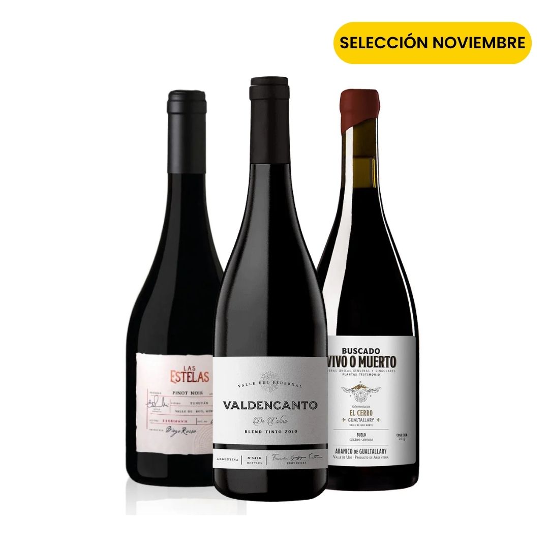 Club Viners Grand Selection