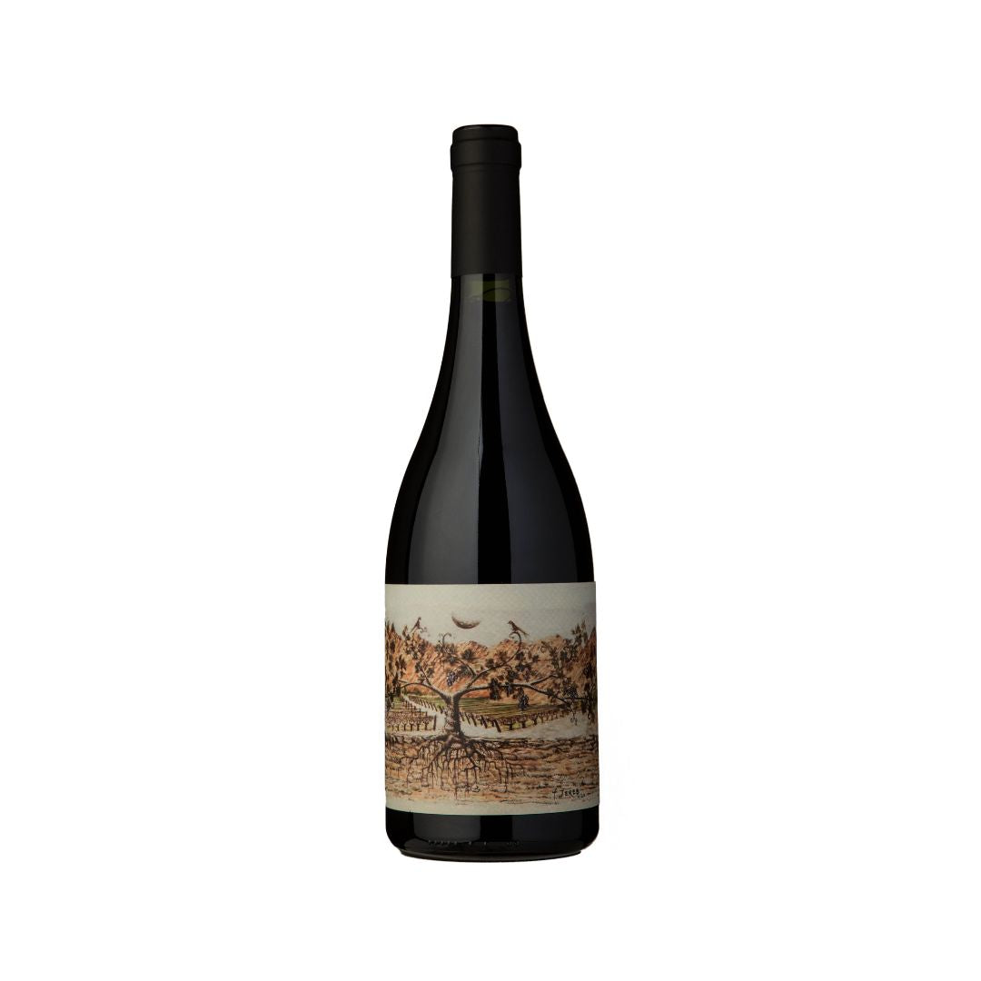 Almacén de la Quebrada Pucará Malbec 2020