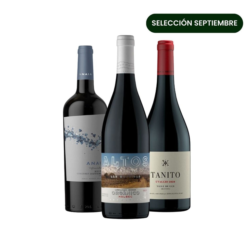 Club Viners Exploradores