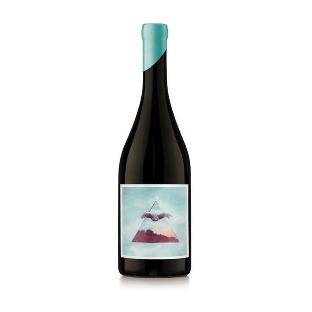 Nodo Pinot Noir de Gualtallary 2024