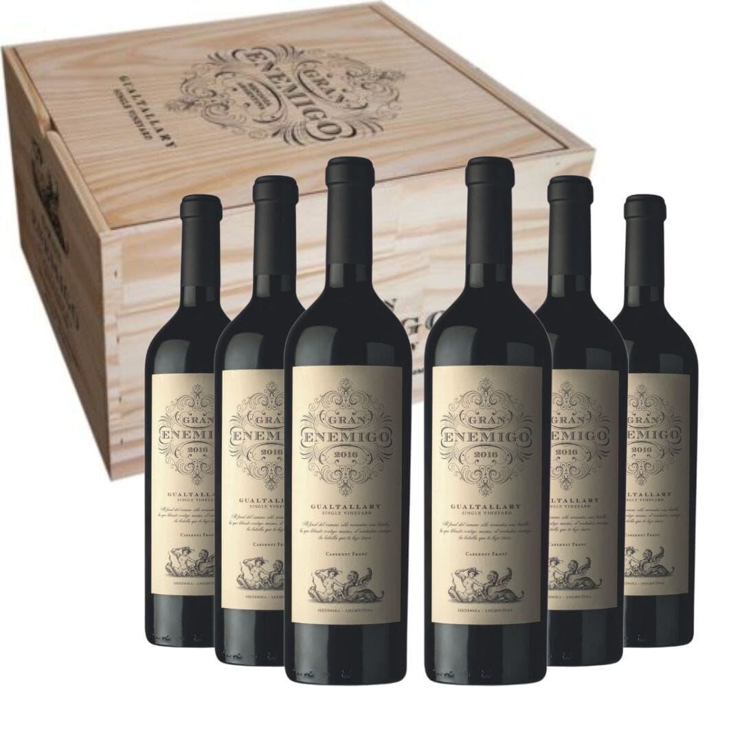 Gran Enemigo Single Vineyard Gualtallary 2019 - Caja de 6 Botellas Vino El Enemigo