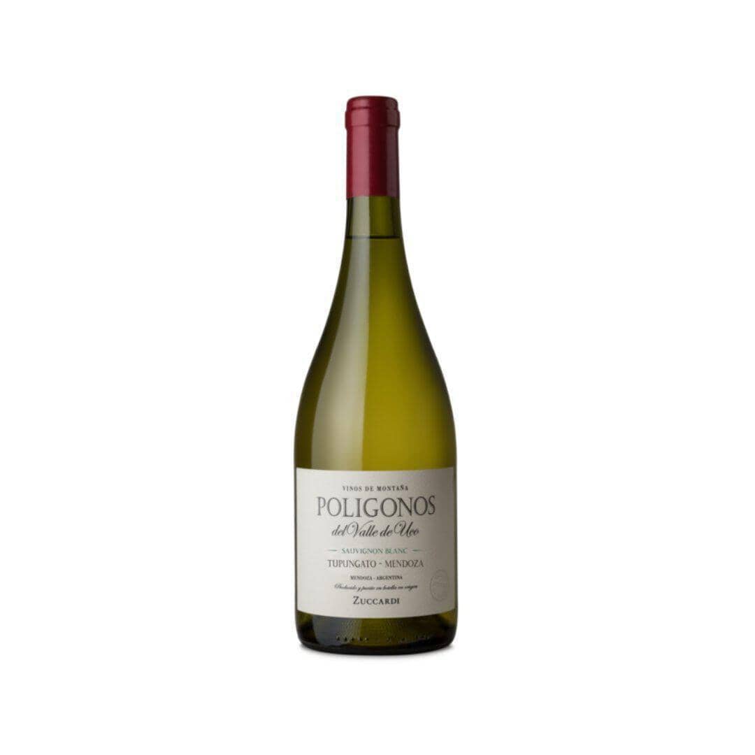 Zuccardi Poligonos Tupungato Sauvignon Blanc 2023 Vino Zuccardi Valle de Uco